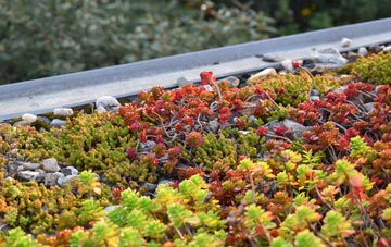 the cost of Park Gate green roof installation