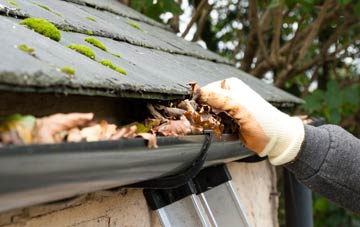 gutter cleaning Park Gate